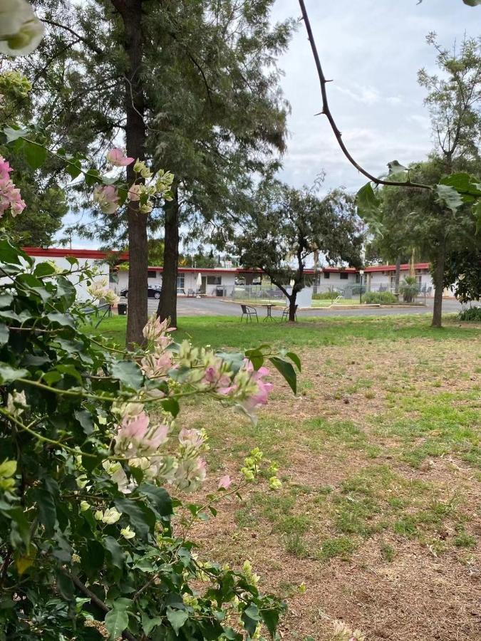 Apollo Motel Parkes Luaran gambar