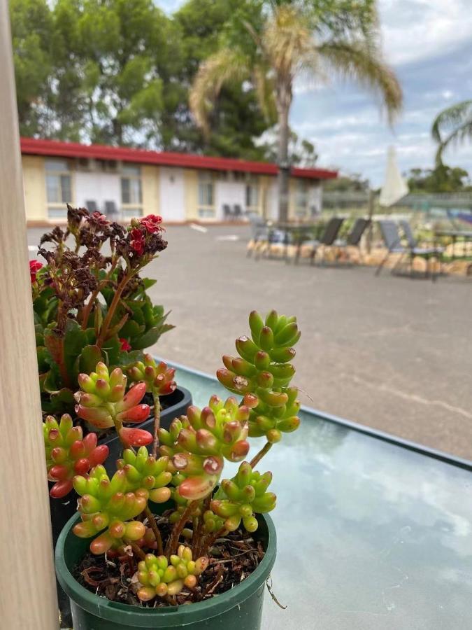 Apollo Motel Parkes Luaran gambar